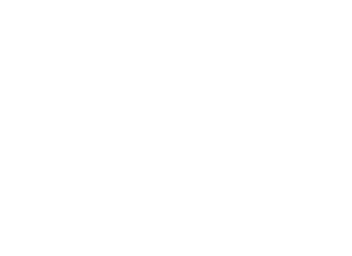 Express Packaging